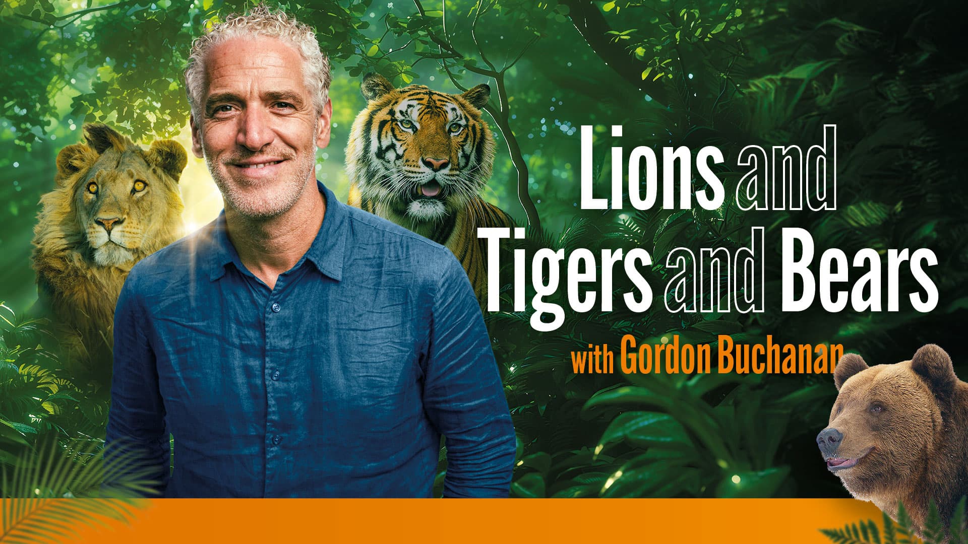 Lions Tigers and Bears with Gordon Buchanan poster at Sheffield Octagon