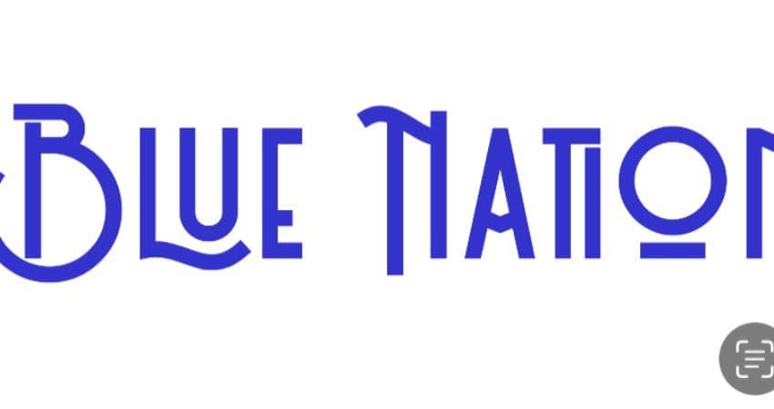 Bluenation — THE GREYSTONES