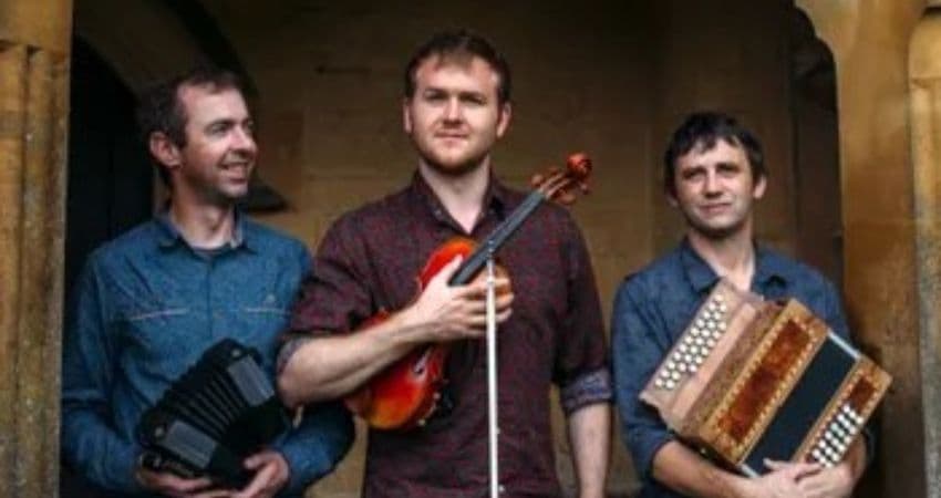 Leveret — THE GREYSTONES